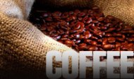 UMGX Retail Brand Development Specialty Coffee Branding